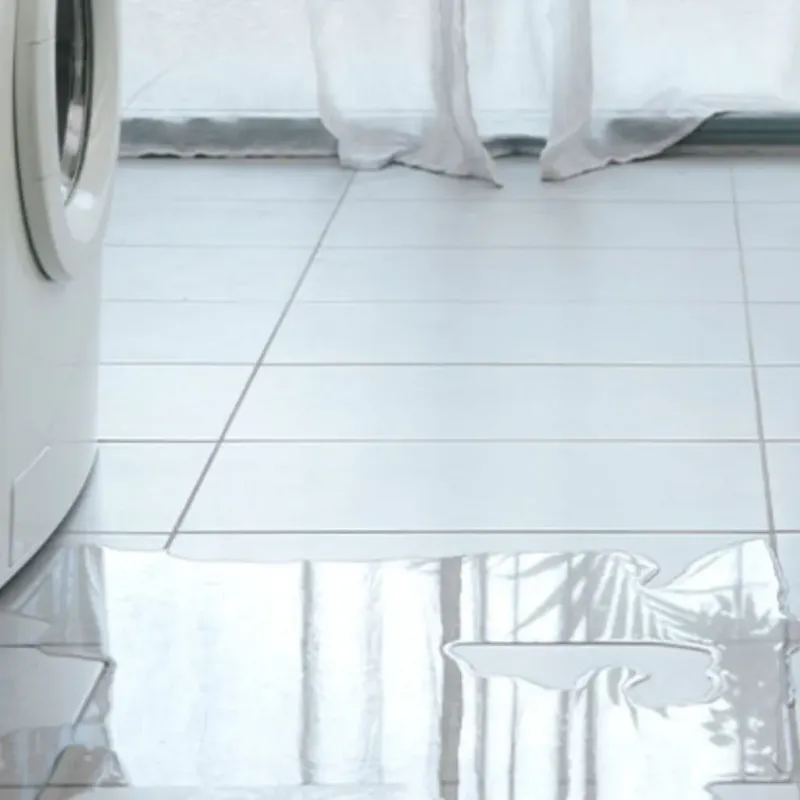 Appliance Leak Cleanup in Somers, MT