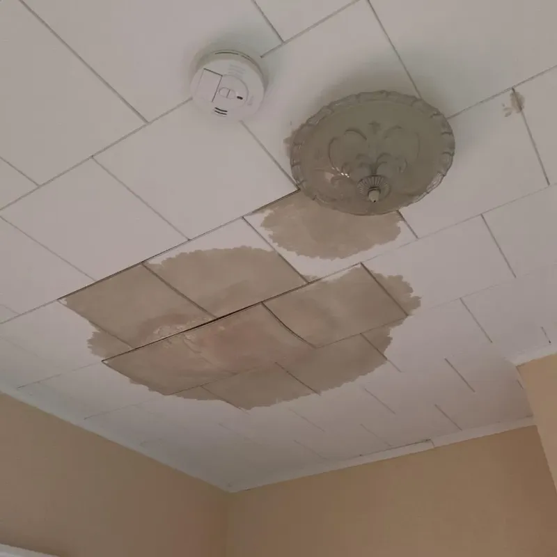 Ceiling Water Damage Repair in Somers, MT