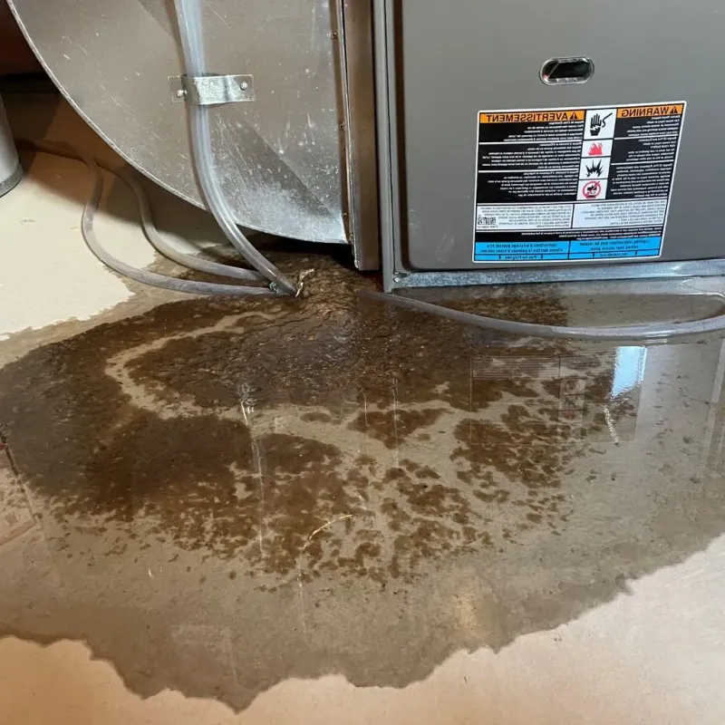 Pipe Burst and Leak Restoration in Somers, MT